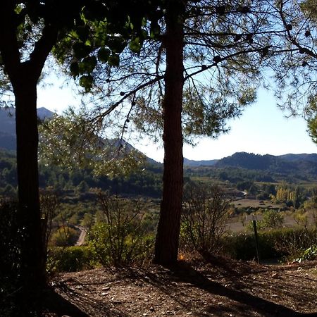 Montsant Park Camping & Bungalow Ulldemolins Εξωτερικό φωτογραφία