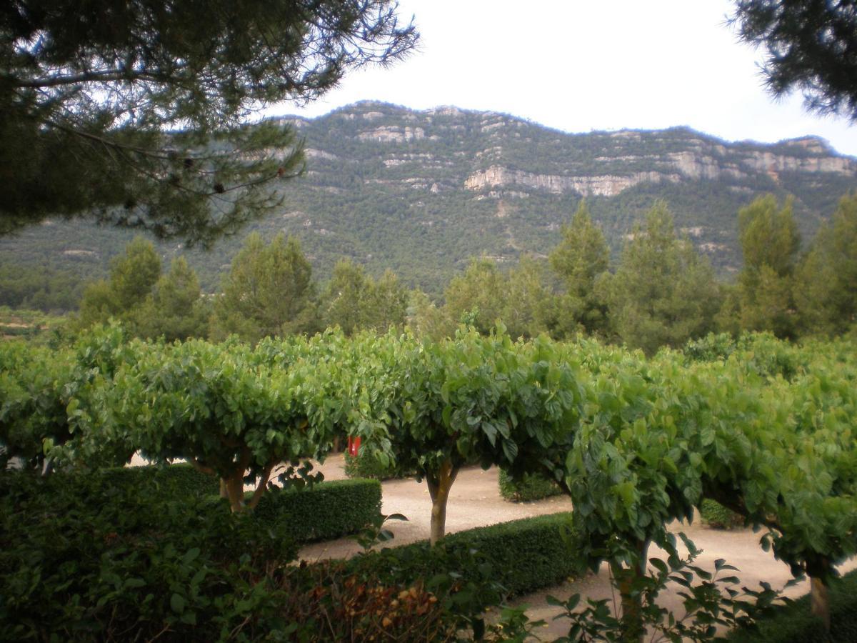 Montsant Park Camping & Bungalow Ulldemolins Εξωτερικό φωτογραφία