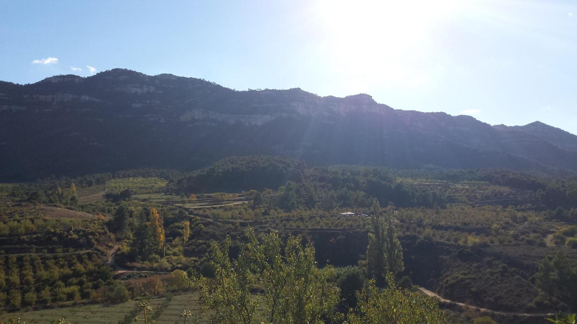Montsant Park Camping & Bungalow Ulldemolins Εξωτερικό φωτογραφία
