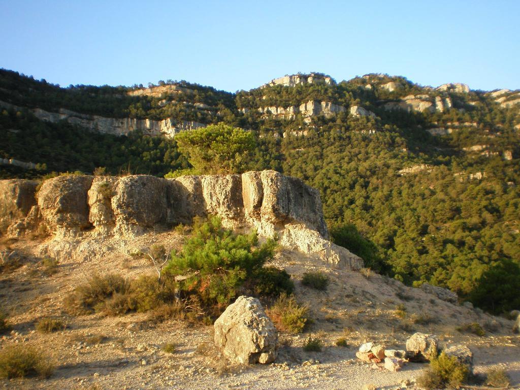 Montsant Park Camping & Bungalow Ulldemolins Εξωτερικό φωτογραφία