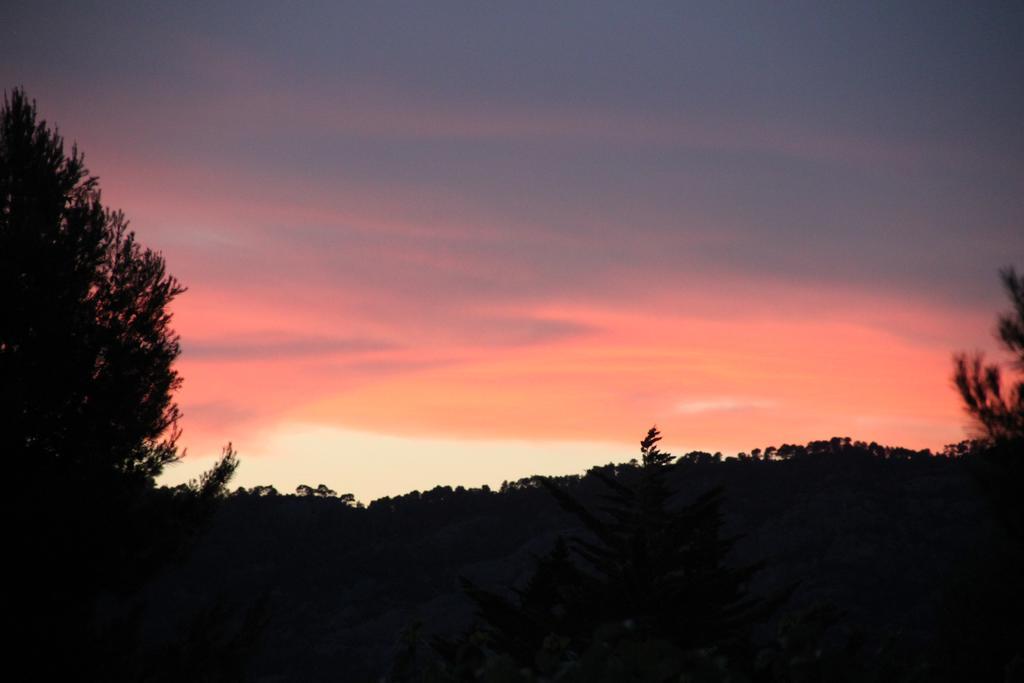 Montsant Park Camping & Bungalow Ulldemolins Εξωτερικό φωτογραφία
